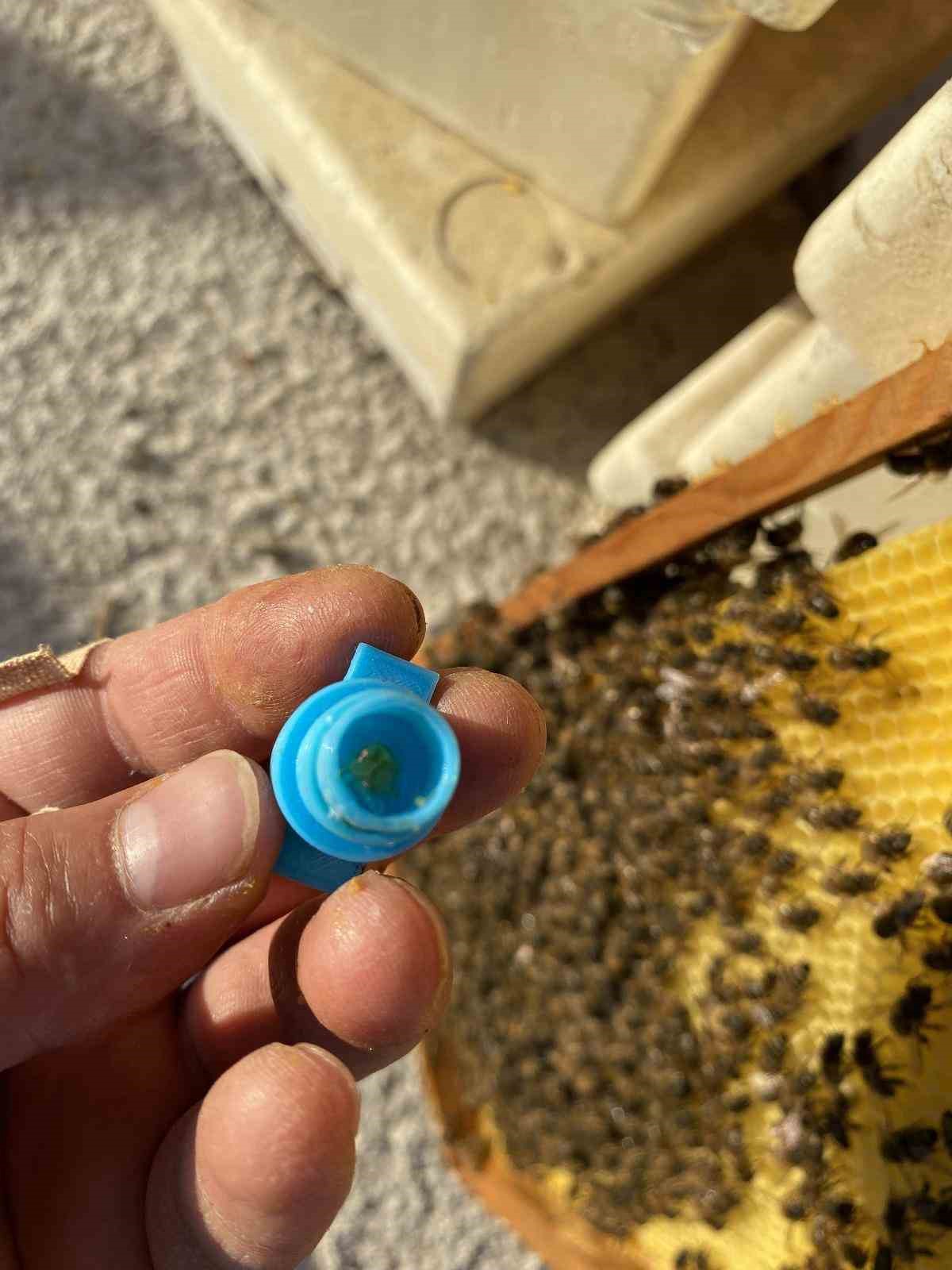 OMÜ’lü akademisyenlerden arıcılığa yenilikçi katkı: Ana Arı Üretim Aparatı
