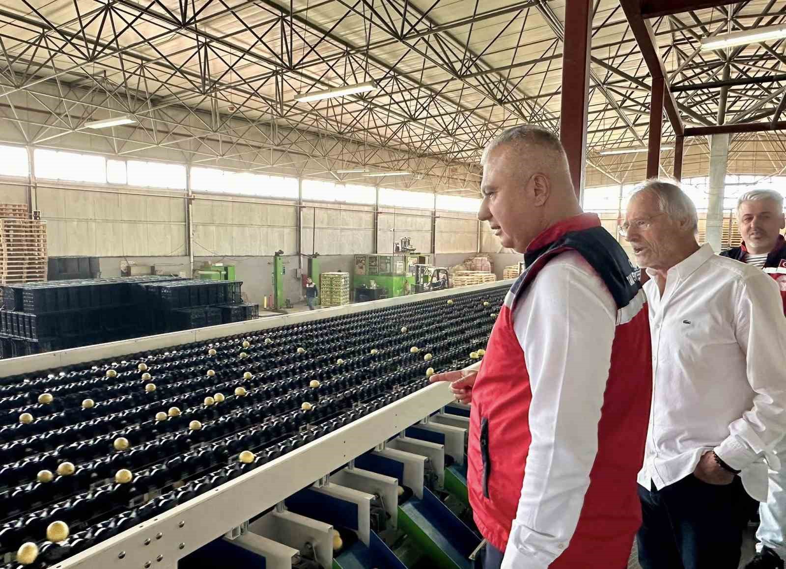 Hatay&rsquo;da limon ihra&ccedil; eden firmalar denetlendi
