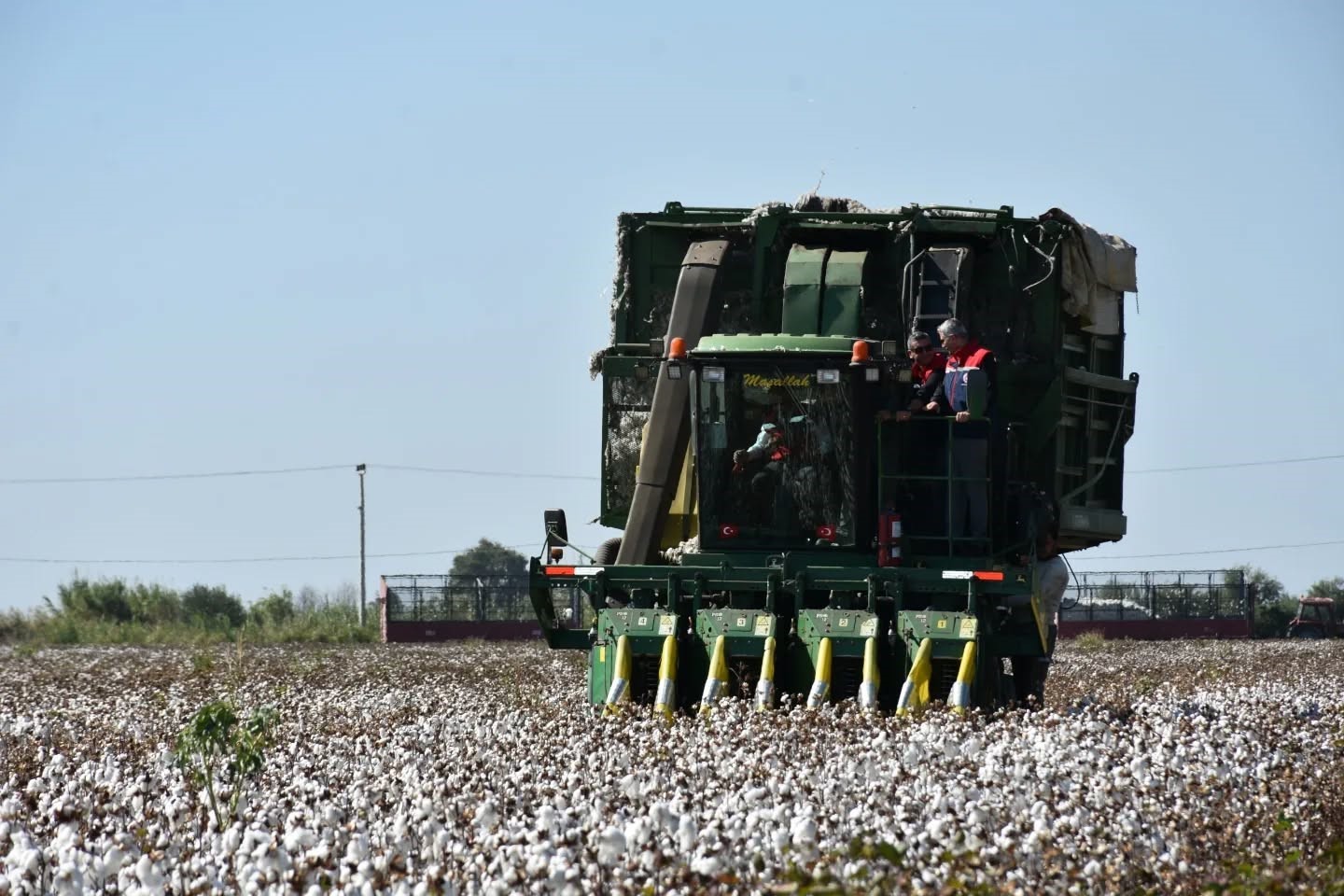Söke Ovası&rsquo;nda pamuk hasadı sürüyor