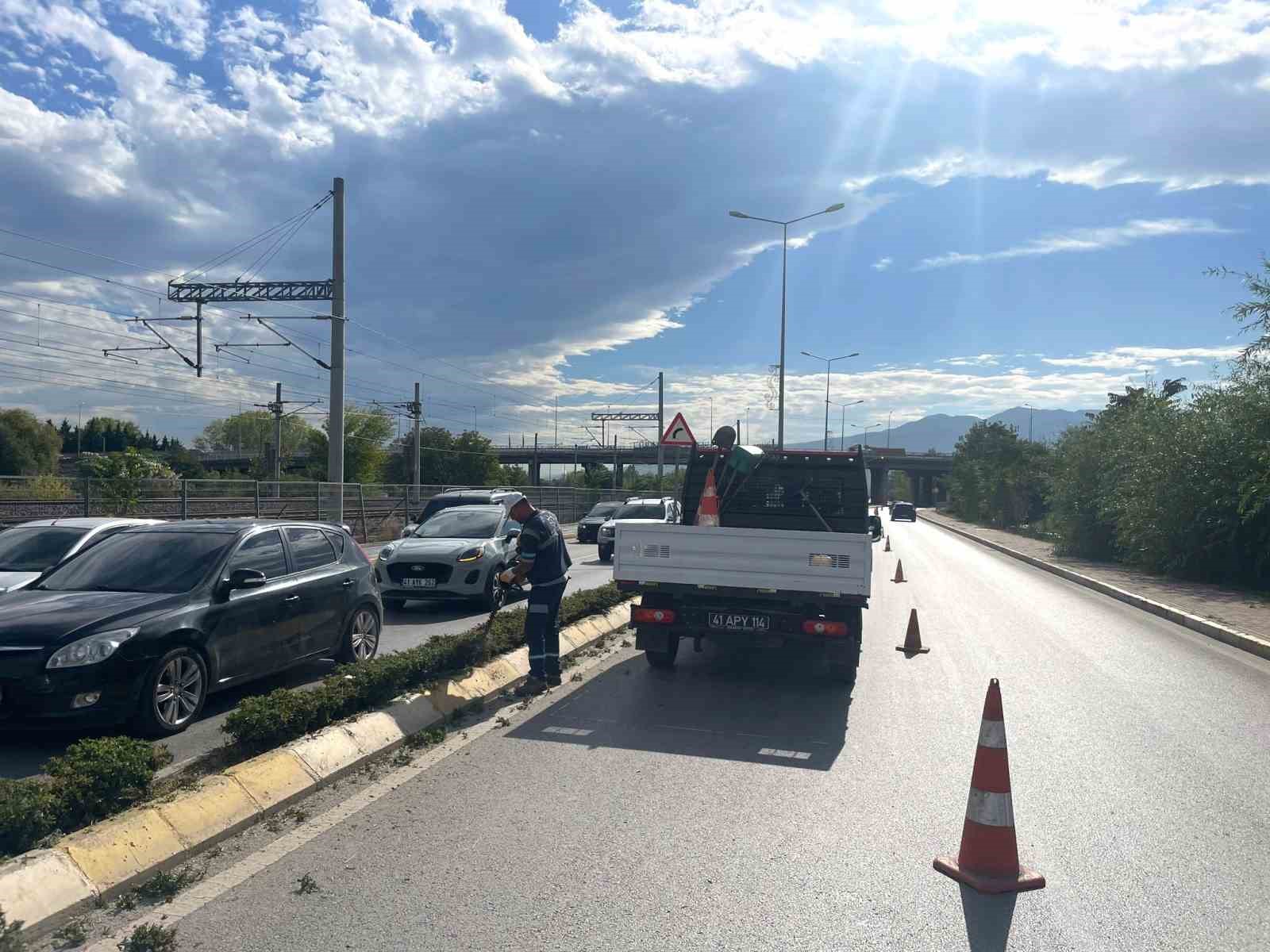 İzmit’te sonbahar budaması
