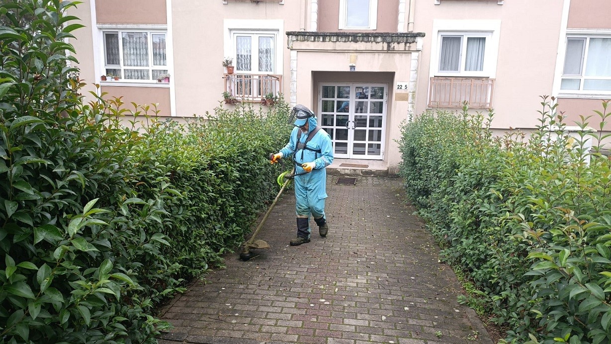 Başiskele’de yeşil alanlara bakım