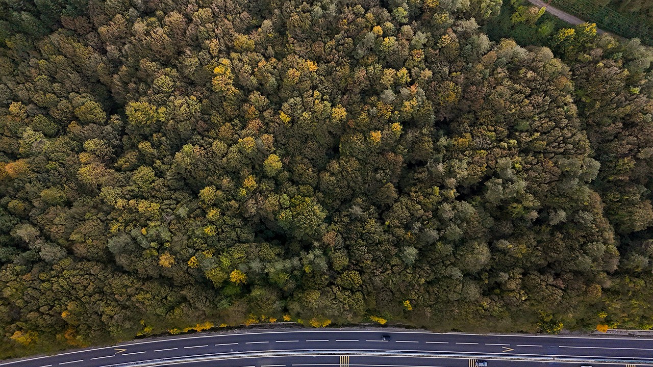 Bolu geçişinde ağaçlar sarı, turuncu ve kızıl tonlara büründü
