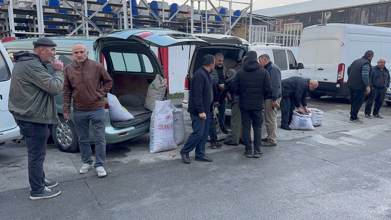 Alaplı’da kuraklık ve gal arısı istilası ünlü kuzu kestanesini de vurdu
