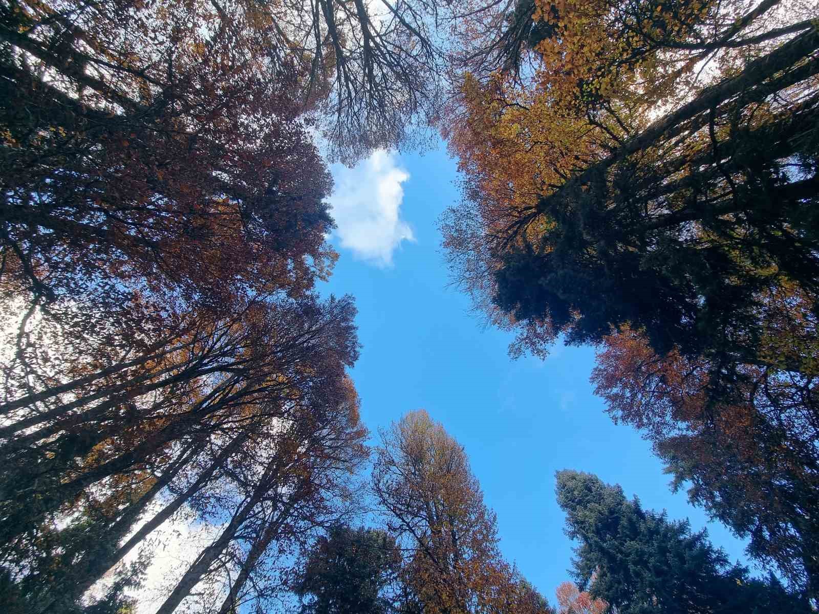 Erzincan&rsquo;da hazan mevsimi g&uuml;zelliği
