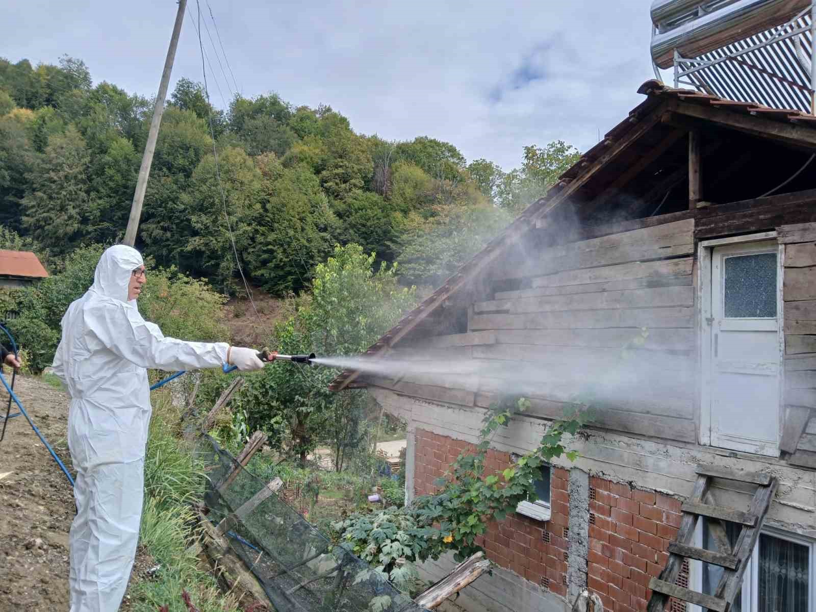 Düzce’de kahverengi kokarca ile kışlak mücadelesi devam ediyor
