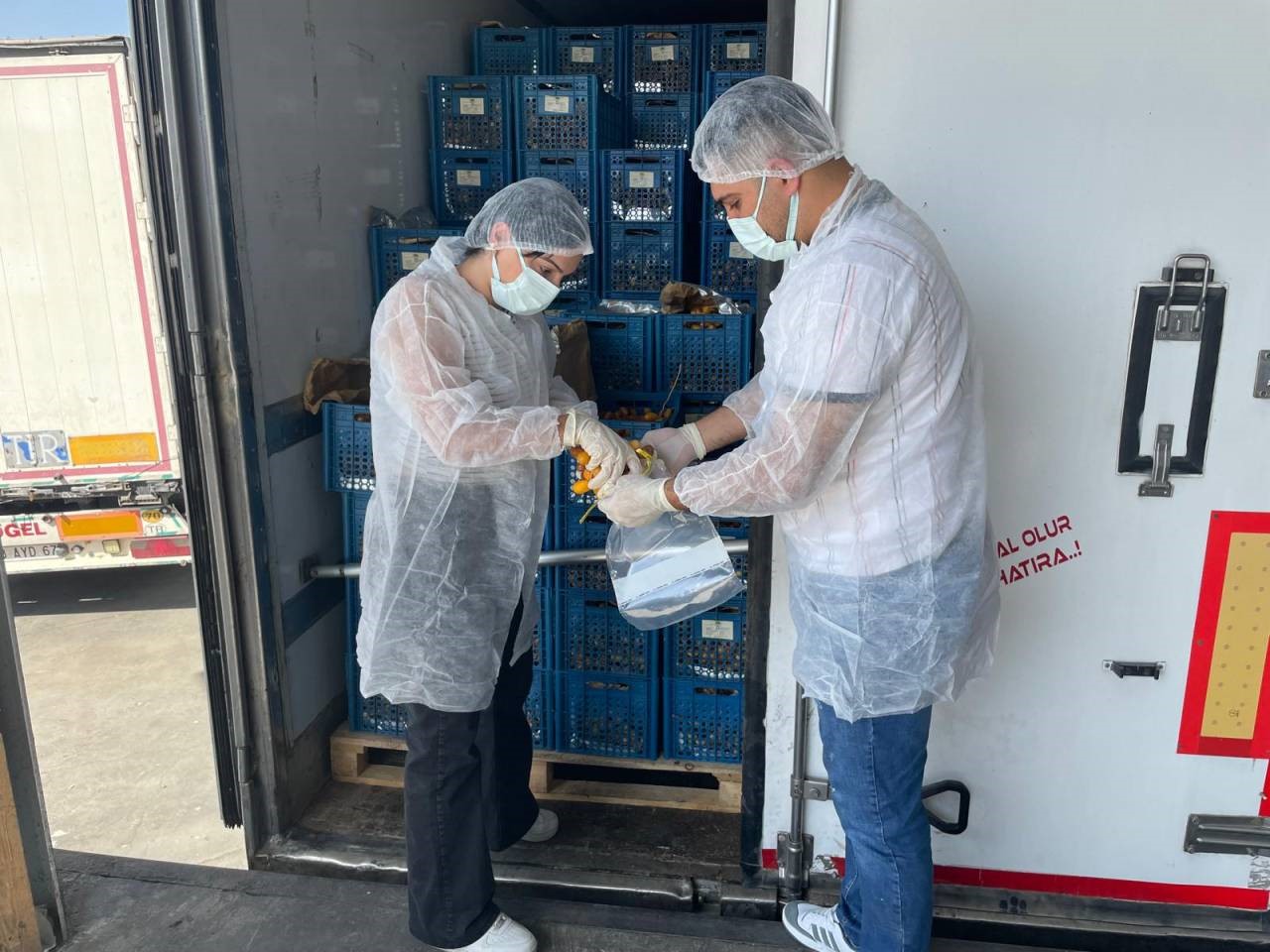 Habur Sınır Kapısında taze hurma ithalatına sıkı denetim
