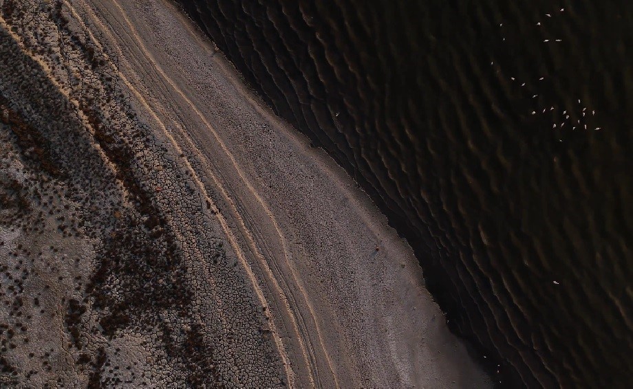 Suların çekildiği Burdur Gölü için imar uyarısı: "Deprem yaşandığında orada yapılan binaların ayakta durması mümkün değil"