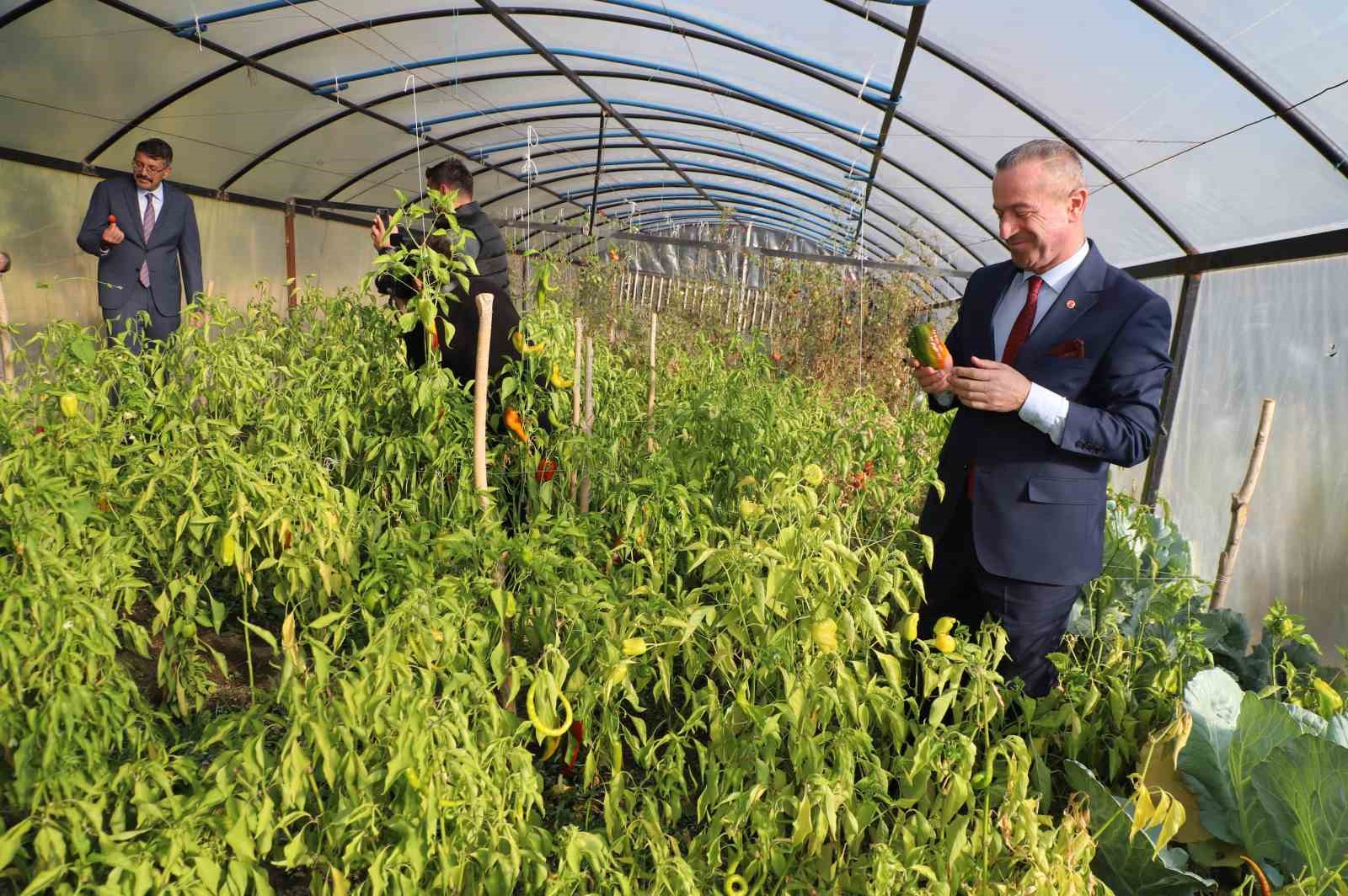 Hakkari&rsquo;de kurulumu tamamlanan seralar kadın &ccedil;ift&ccedil;ilere teslim edildi
