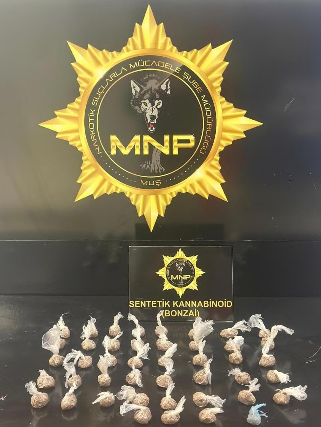 Otogarda uyuşturucu operasyonu: 1 tutuklama