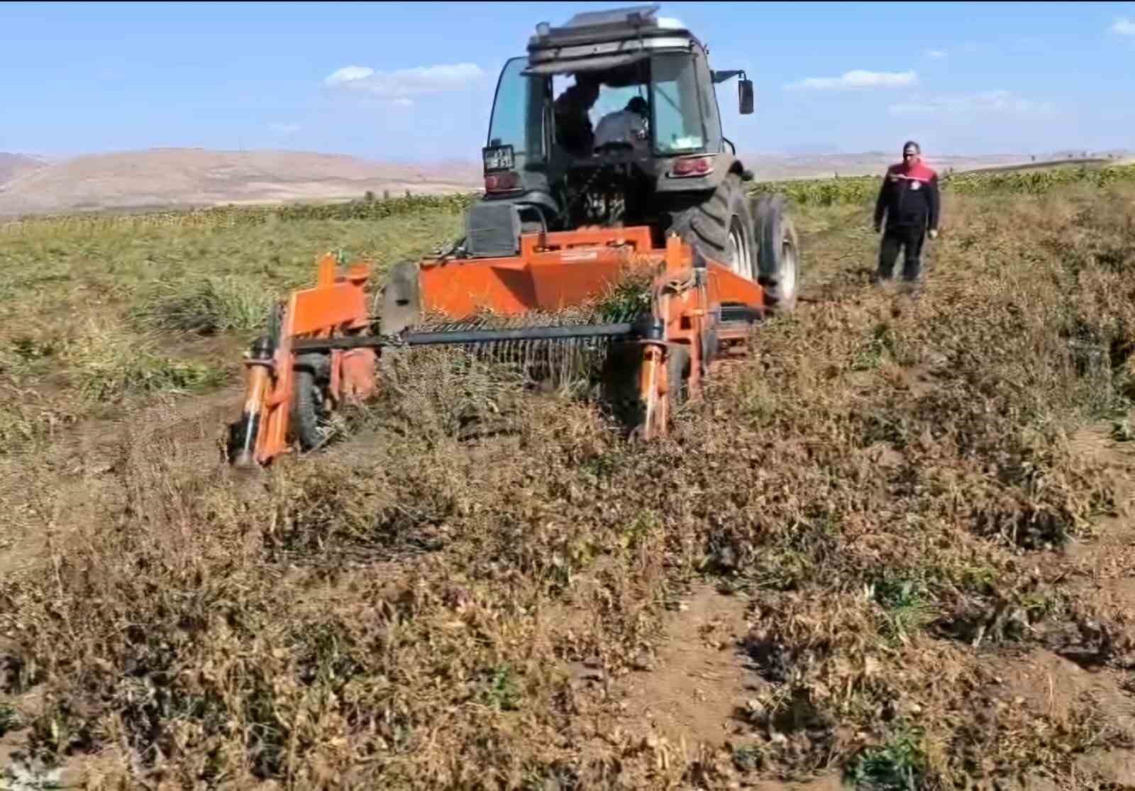 Bayburt’ta beyaz fasulye üretimi 3 bin dekara ulaştı