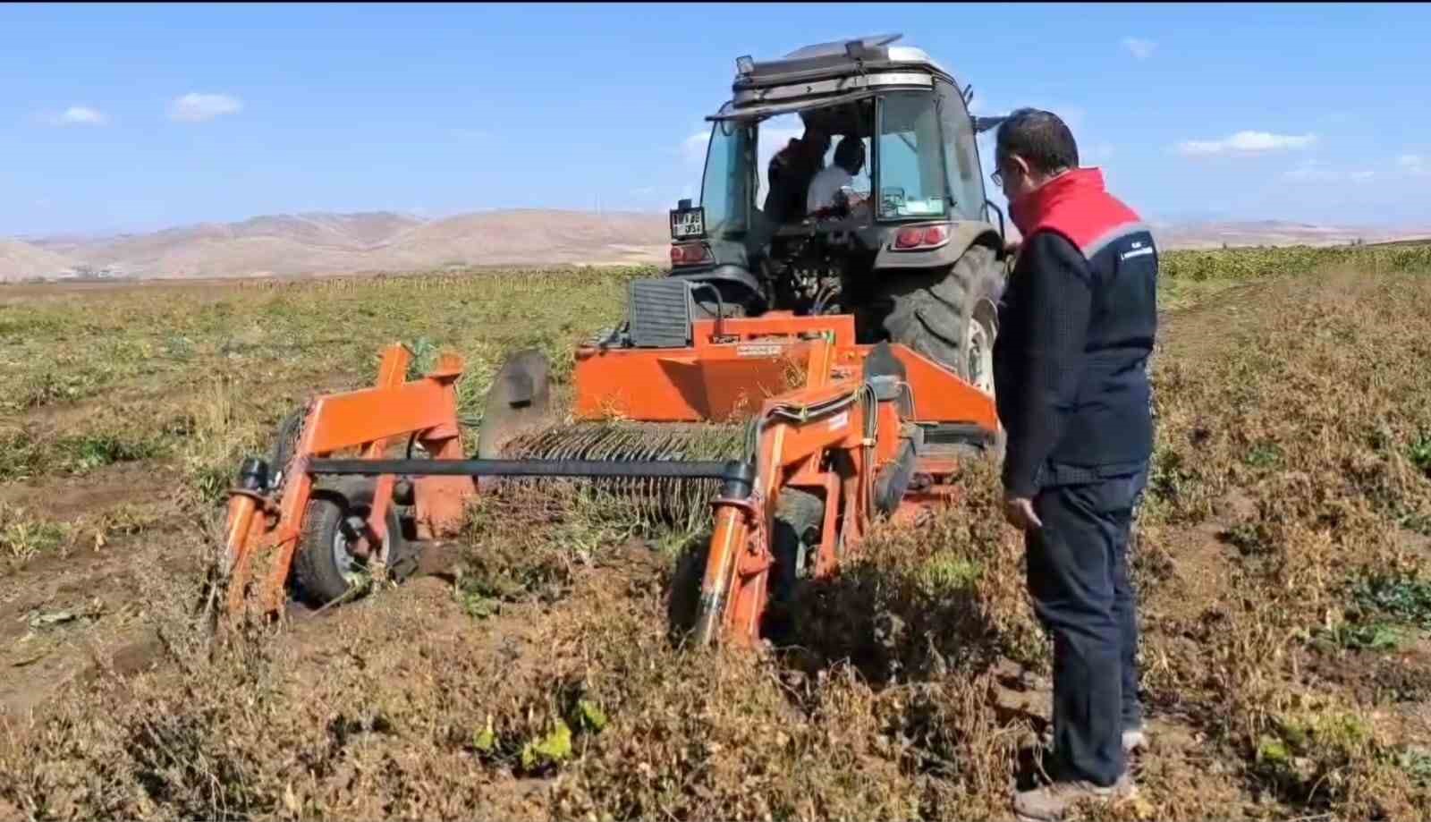 Bayburt’ta beyaz fasulye üretimi 3 bin dekara ulaştı

