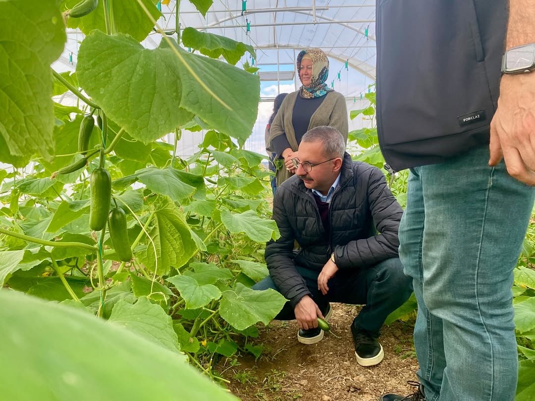 Kadın çiftçiler üretime güç katıyor
