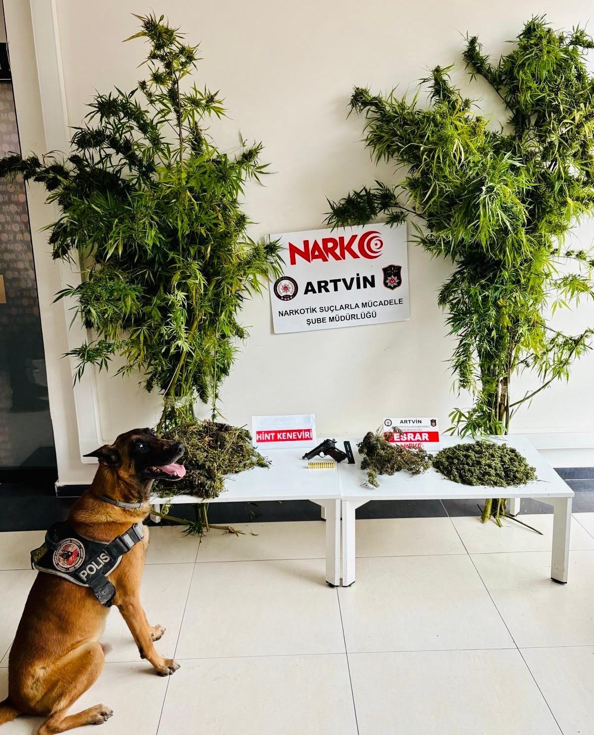 Artvin’de uyuşturucu operasyonu: 5 gözaltı
