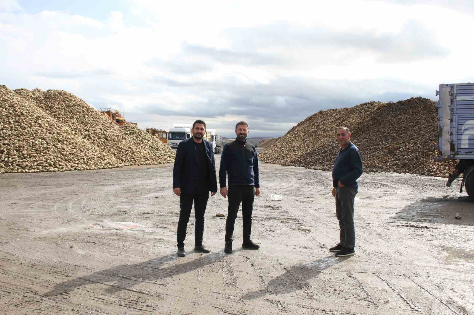 Malazgirt&rsquo;te şeker pancar alımları devam ediyor
