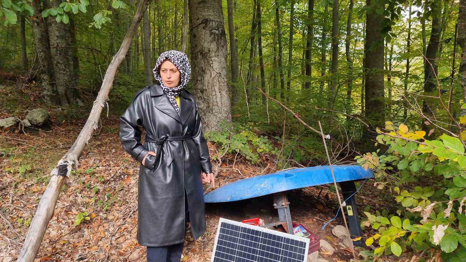 Domani&ccedil;&rsquo;te gen&ccedil; girişimcinin 2 d&ouml;n&uuml;ml&uuml;k ahududu bah&ccedil;esini ayılar talan etti
