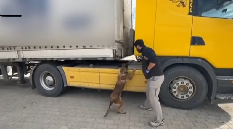 Tosya’da tıra zulalanmış uyuşturucu ele geçirildi: 1 tutuklama