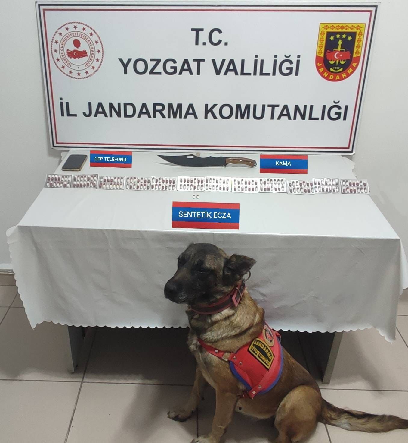 Üzerinde 170 adet uyuşturucu hapla yakalandı