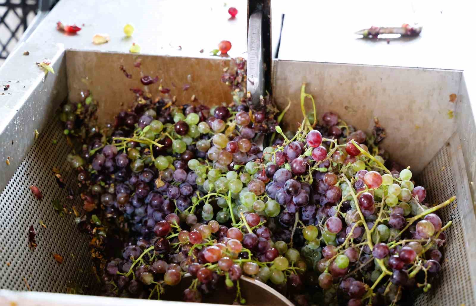 B&uuml;y&uuml;kşehirden &uuml;reticiye &uuml;z&uuml;m sıkma makinesi desteği
