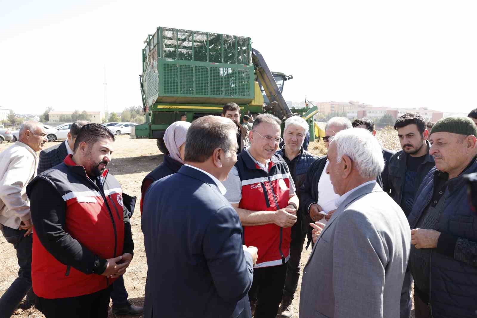 Bismil’de "beyaz altın"ın hasadı başladı