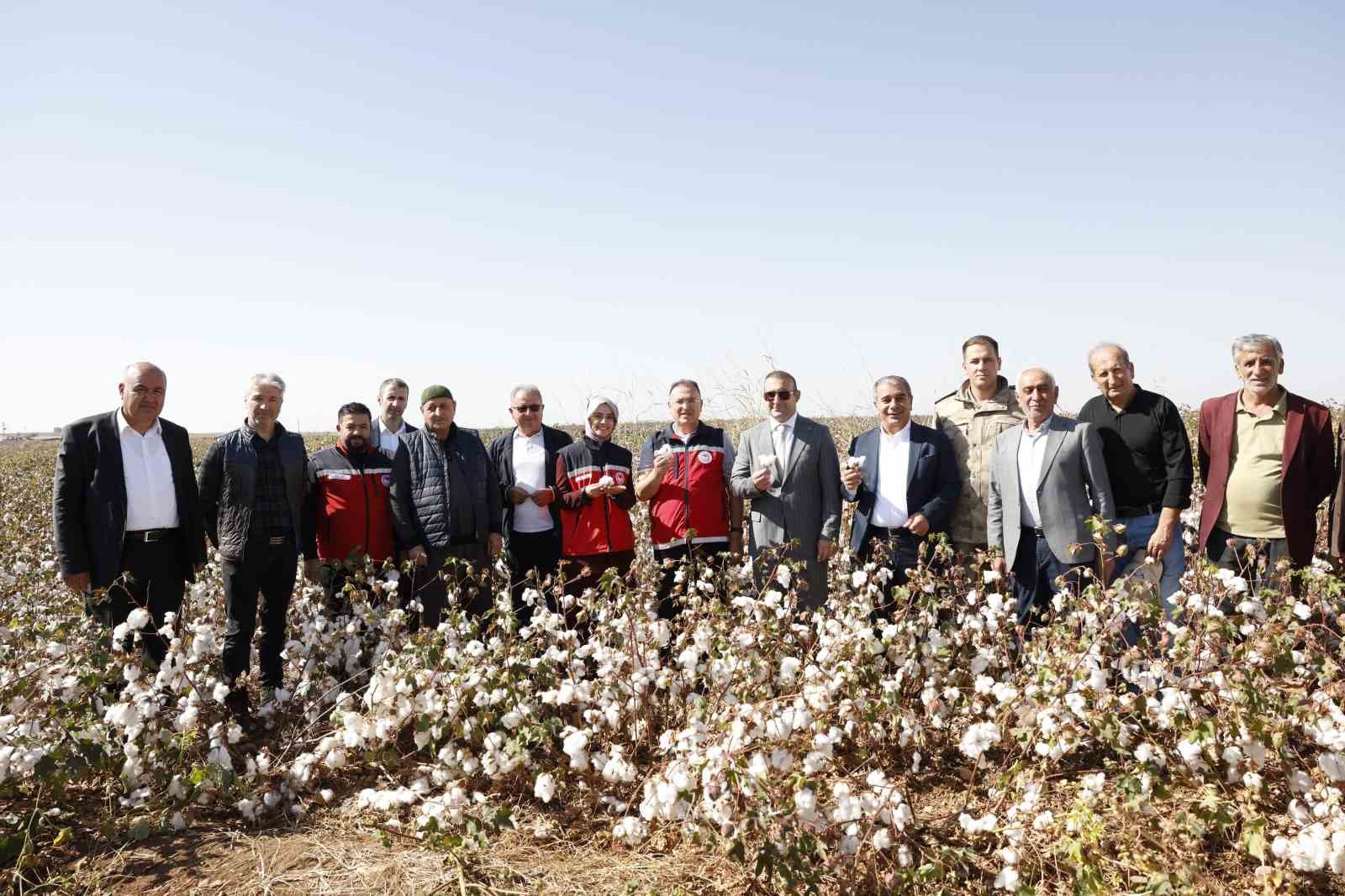 Bismil&rsquo;de "beyaz altın"ın hasadı başladı
