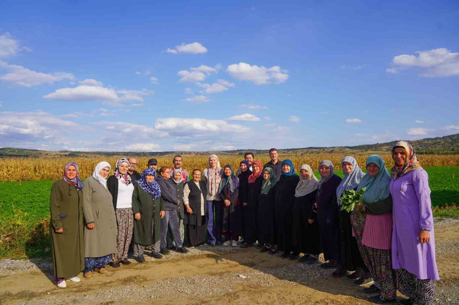 Bilecik’te dağıtılan sebze fidelerinin hasadını yapıldı