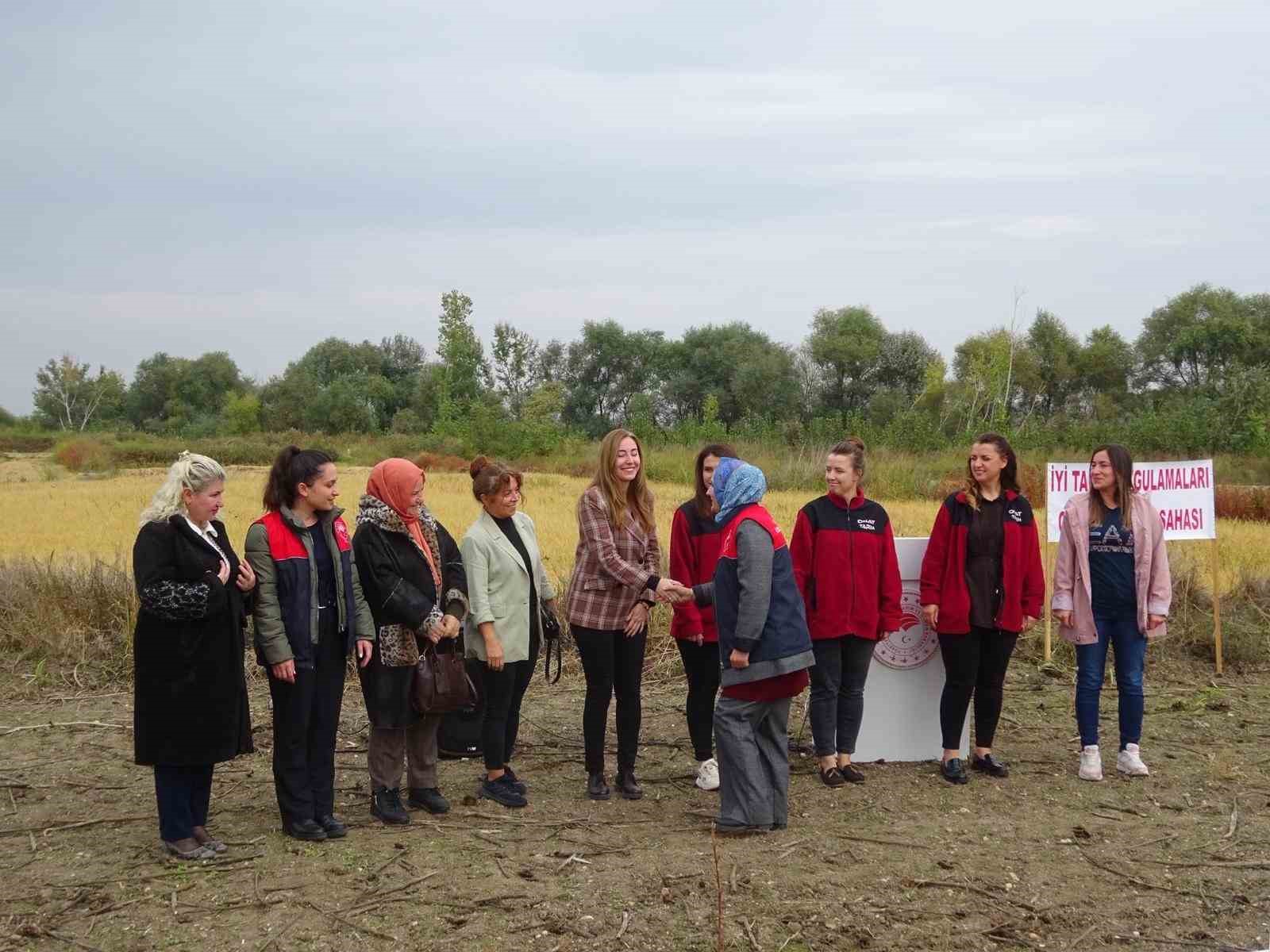 Babaeski’de Çeltik Tarla Günü etkinliği düzenlendi
