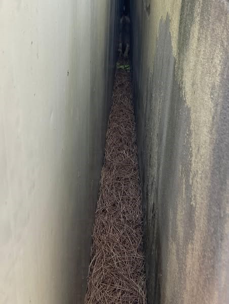 Duvar ile konteyner arasında sıkışan k&ouml;peği itfaiye kurtardı
