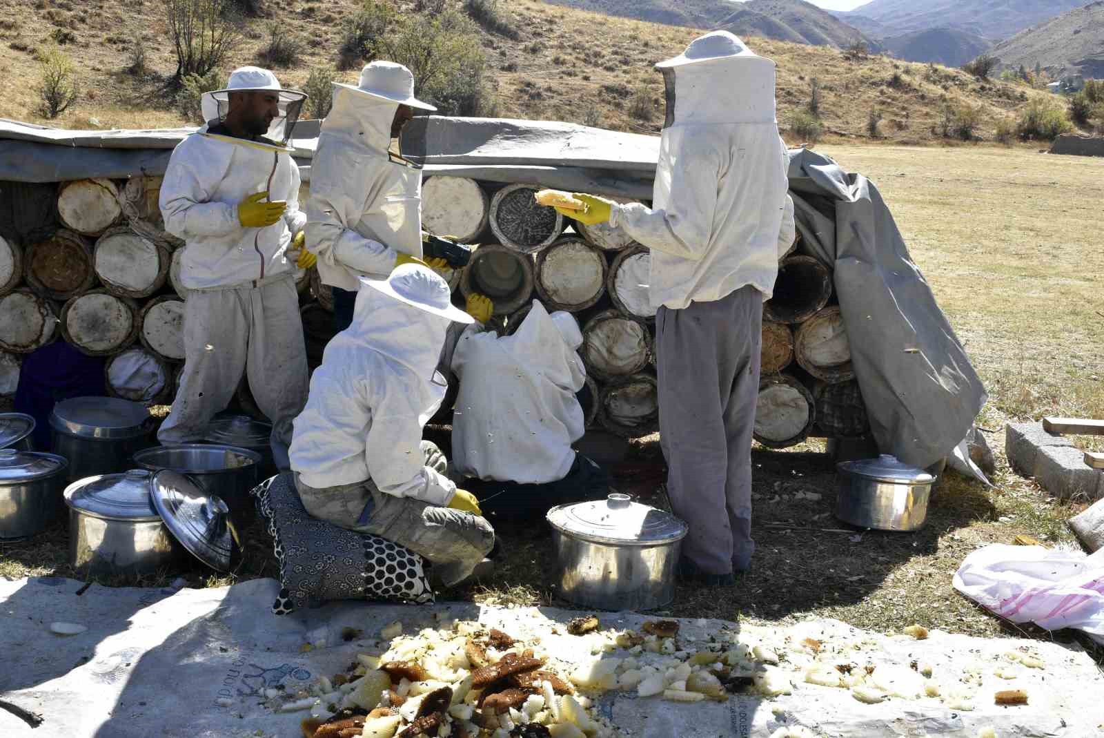 Uluslararası ödüllü Bitlis karakovan balında hasat zamanı