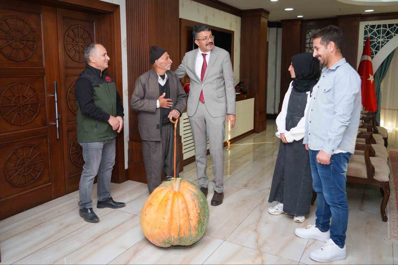 Hakkâri’de rekor: 50,5 kilo ağırlığında dev bal kabağı