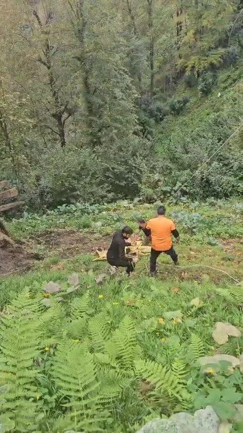 İneği vinçle düştüğü yamaçtan kurtardılar
