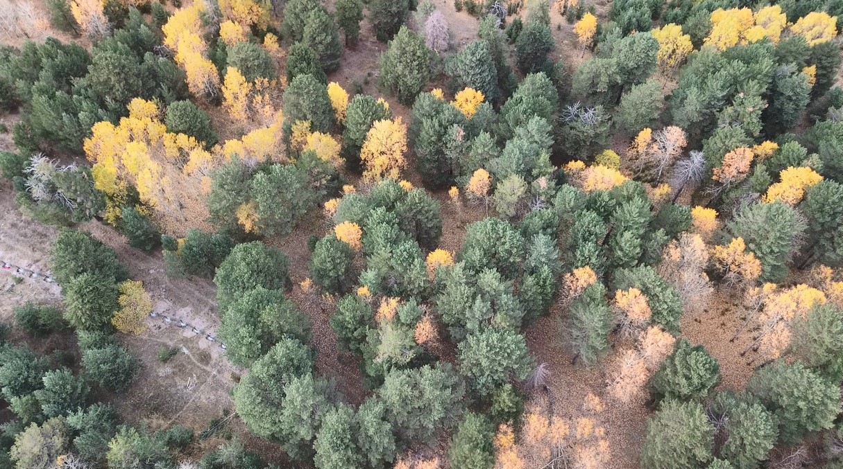 Kars’ta sonbaharda renk cümbüşü yaşanıyor