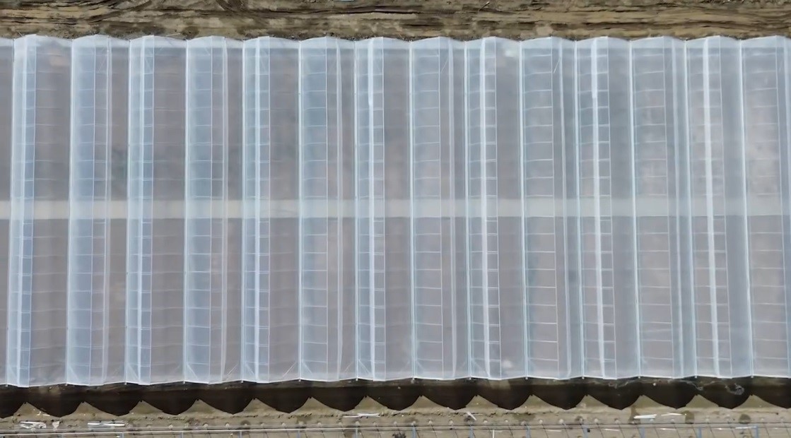 Toplu Sera Bölgesi Erzincan’da 700 kişiye istihdam sağlayacak, ekonomiye yıllık 350 milyon TL’lik katkı sunacak