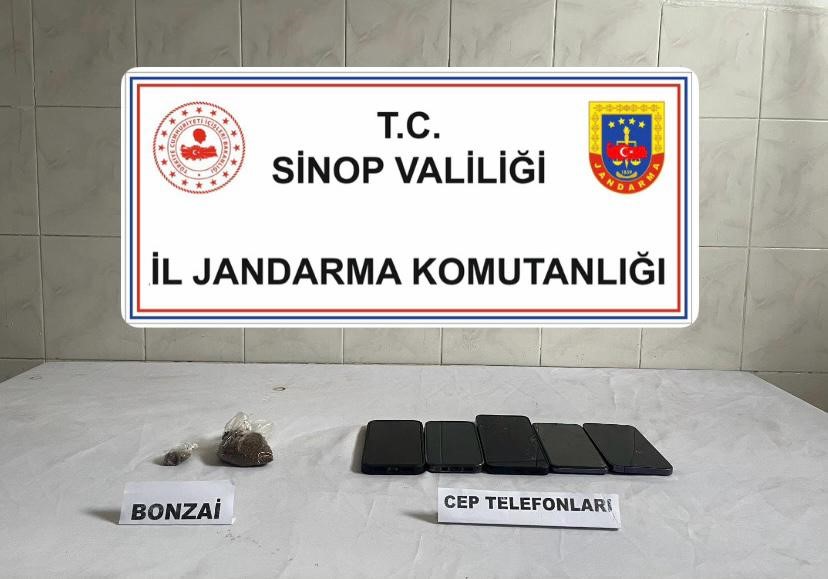 Sinop’ta bonzai ele geçirildi: 1 kişi tutuklandı