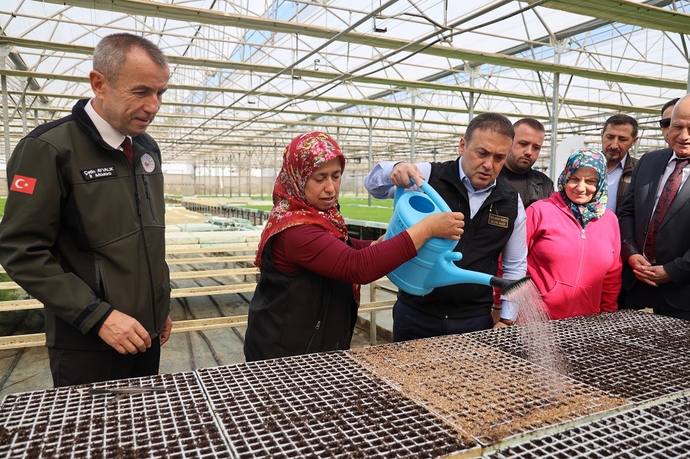 Bilecik’te tarıma can suyu: 926 bin marul fidesi toprakla buluştu