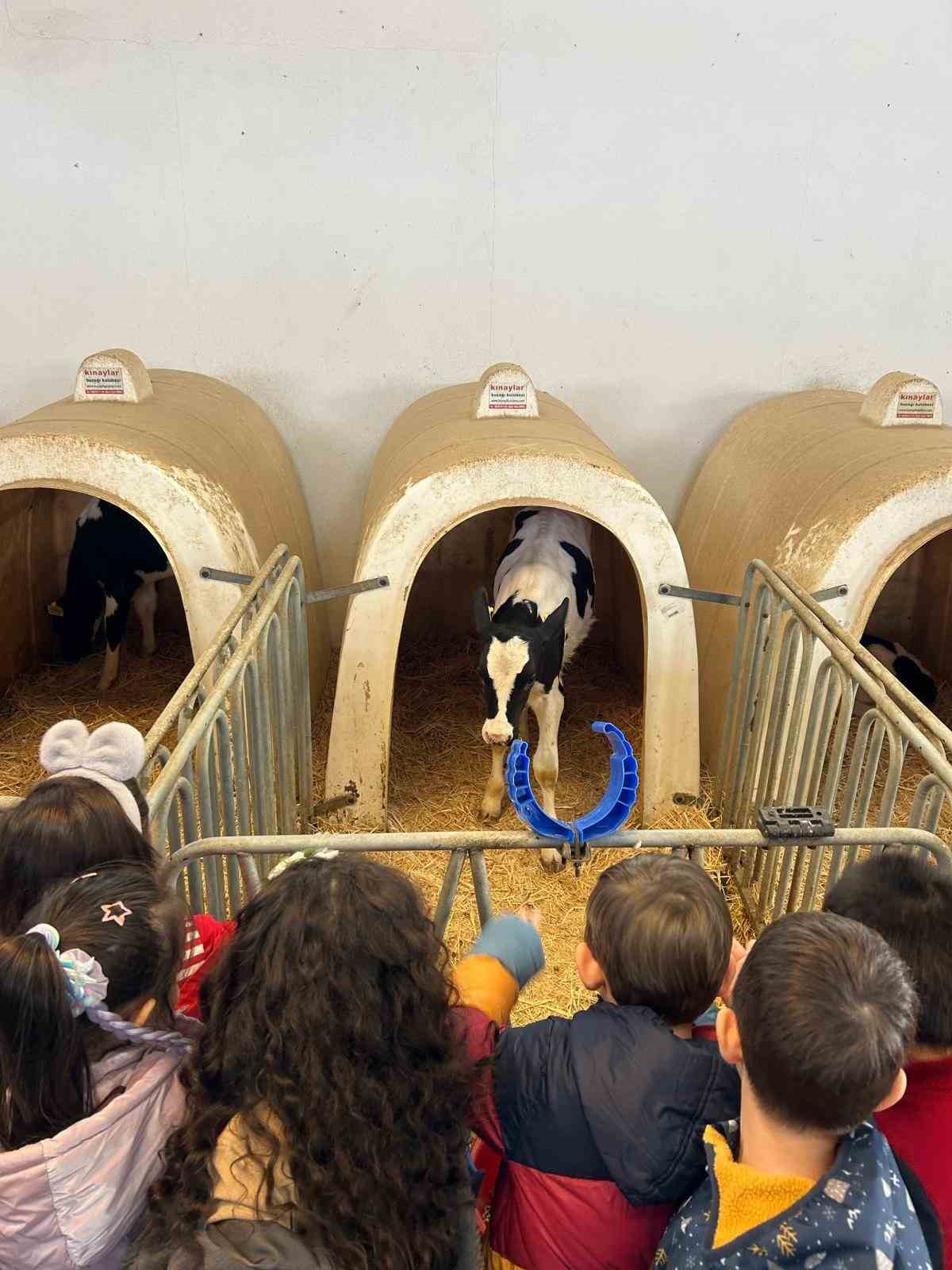 Minik &ouml;ğrenciler tarımla buluştu
