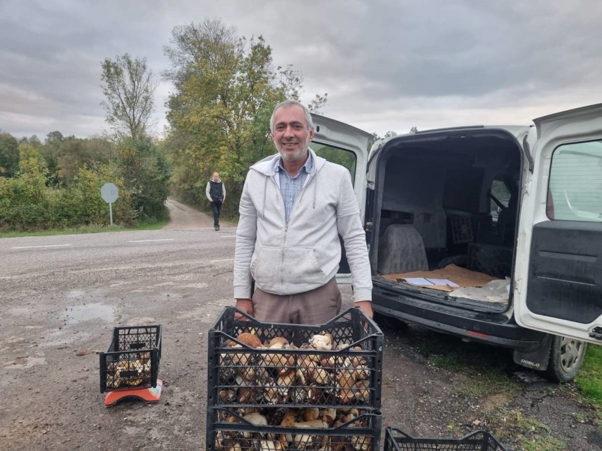 Sinop’tan Avrupa’ya mantar ihracatı