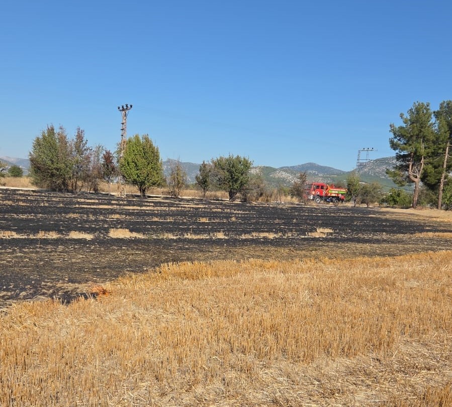 Bucak’ta arazide çıkan yangın itfaiye ekiplerince söndürüldü