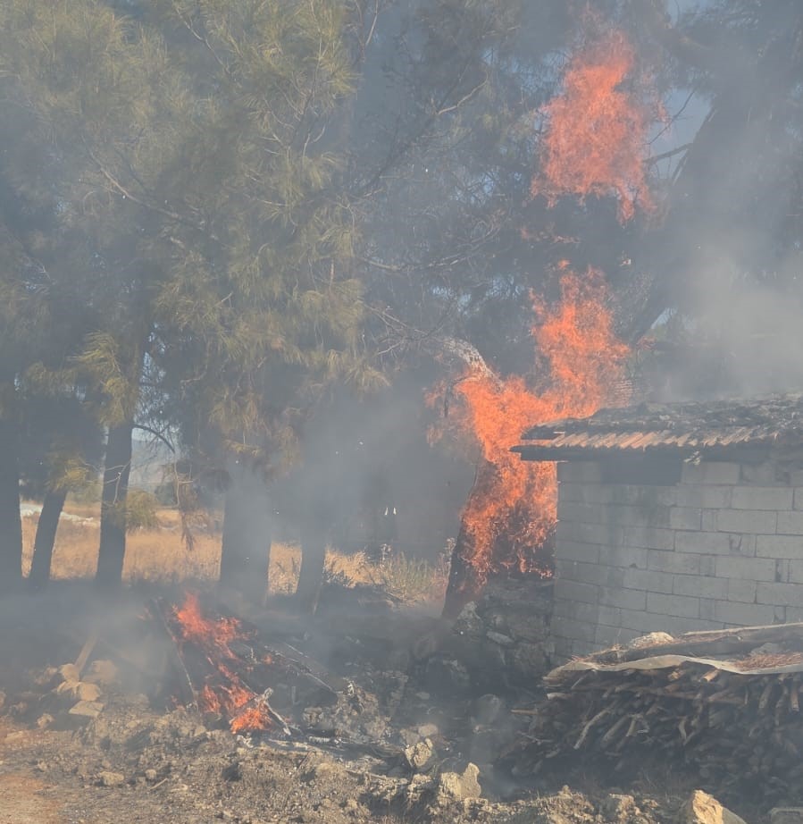 Bucak’ta odunlukta çıkan yangın korkuttu