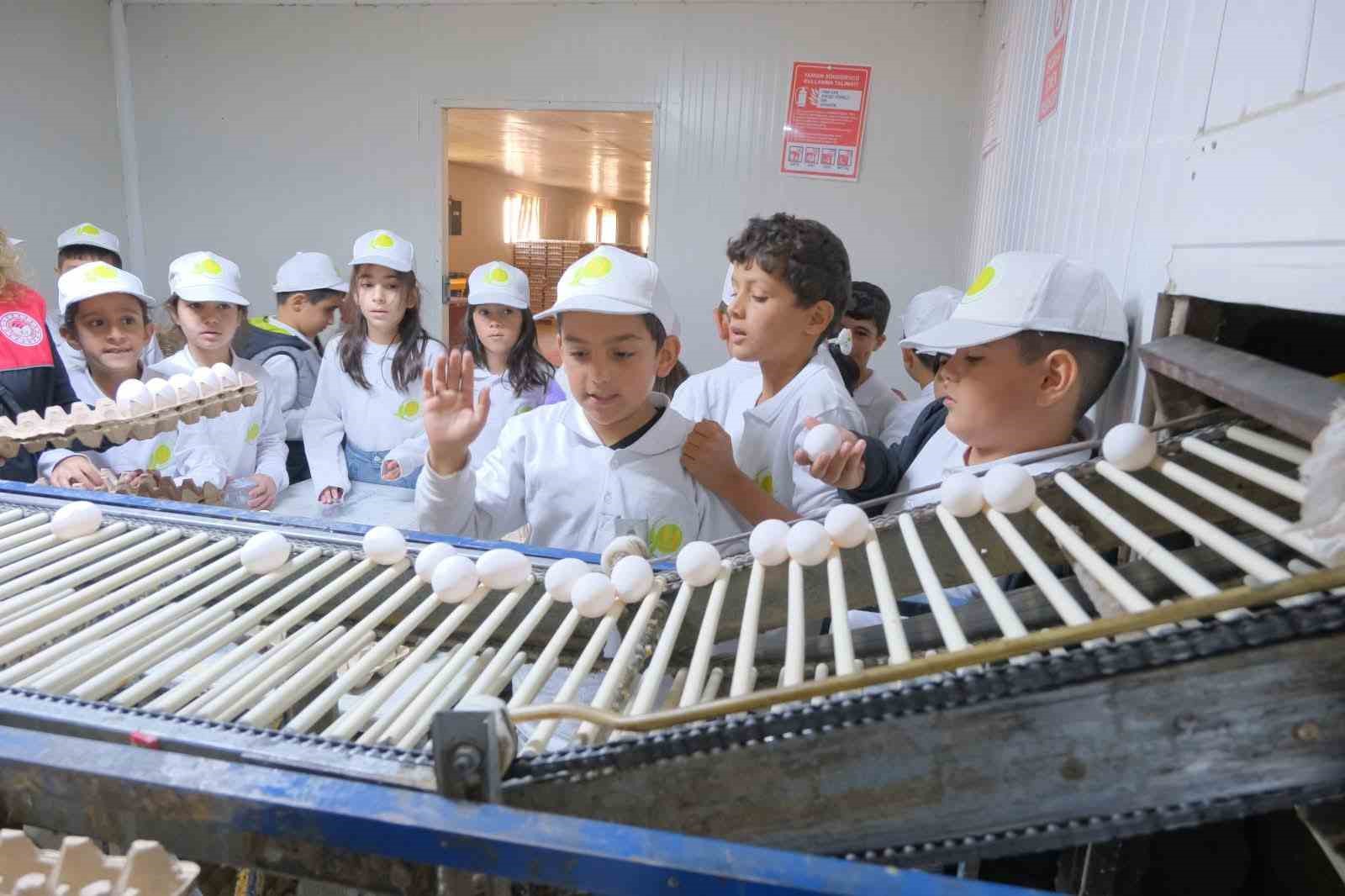 Muş’ta "kooperatifçilik" temalı tarım kampı düzenlendi