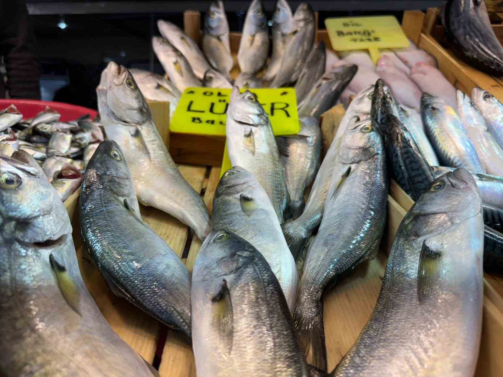 Bandırma Balık Hali&rsquo;nde sezon hareketliliği başladı
