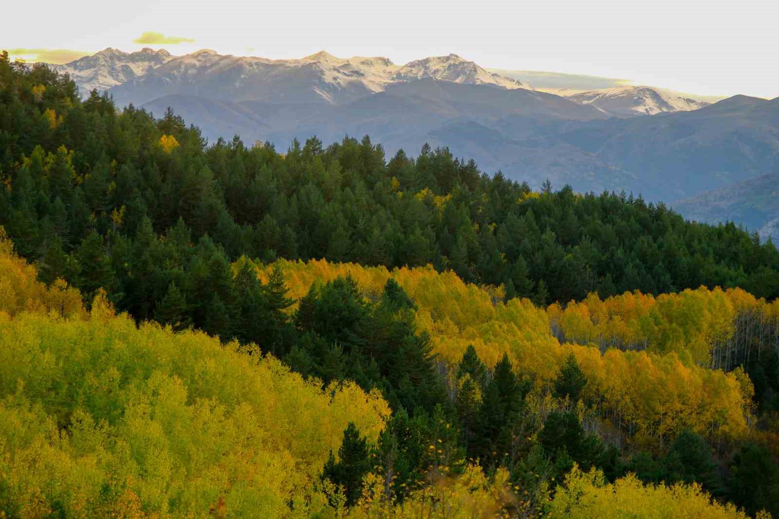 Gümüşhane’nin Alpleri aratmayan sonbahar güzelliği
