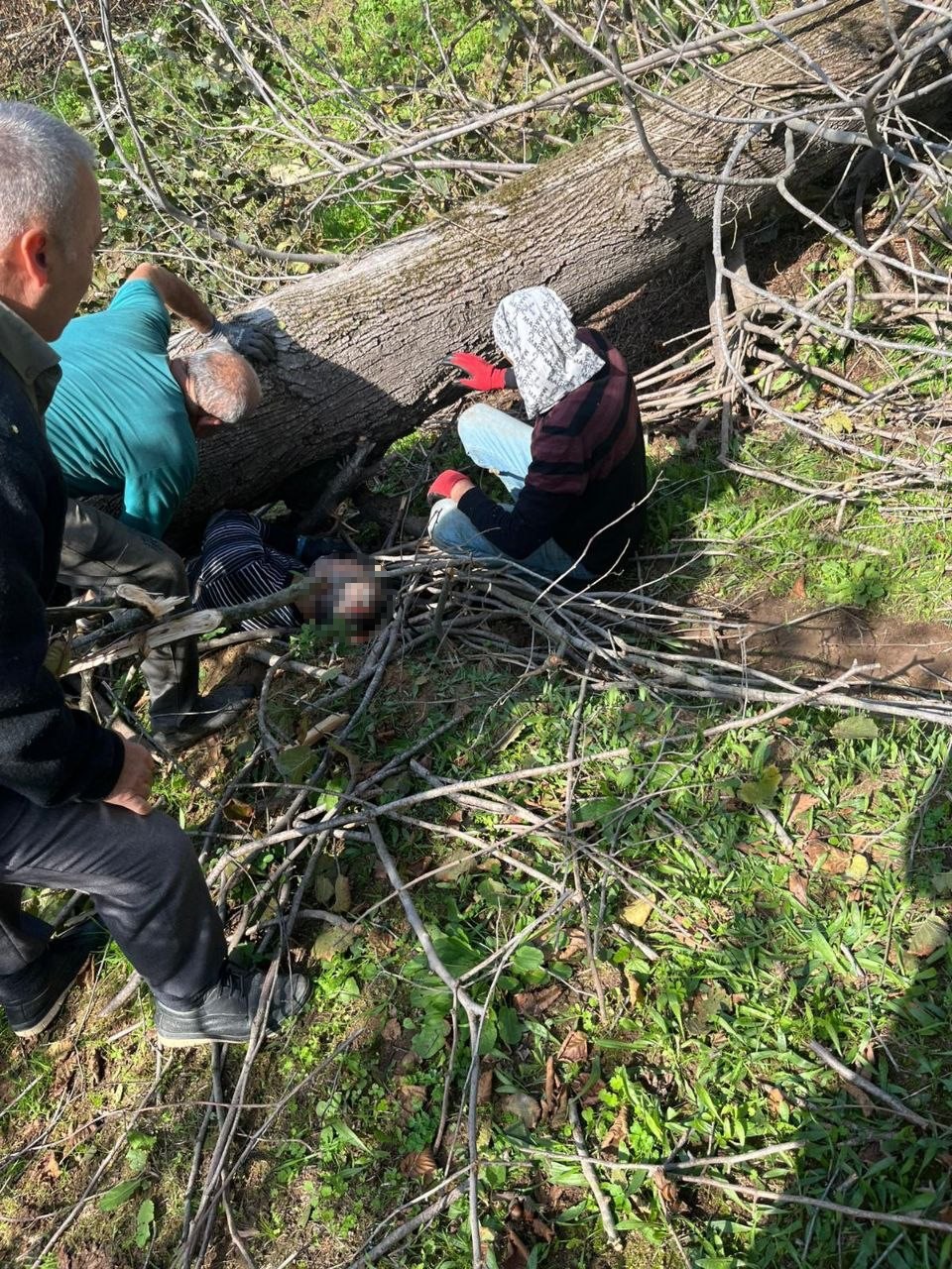 Kestiği ağacın altında kalarak yaralanmıştı, hastanede hayatını kaybetti