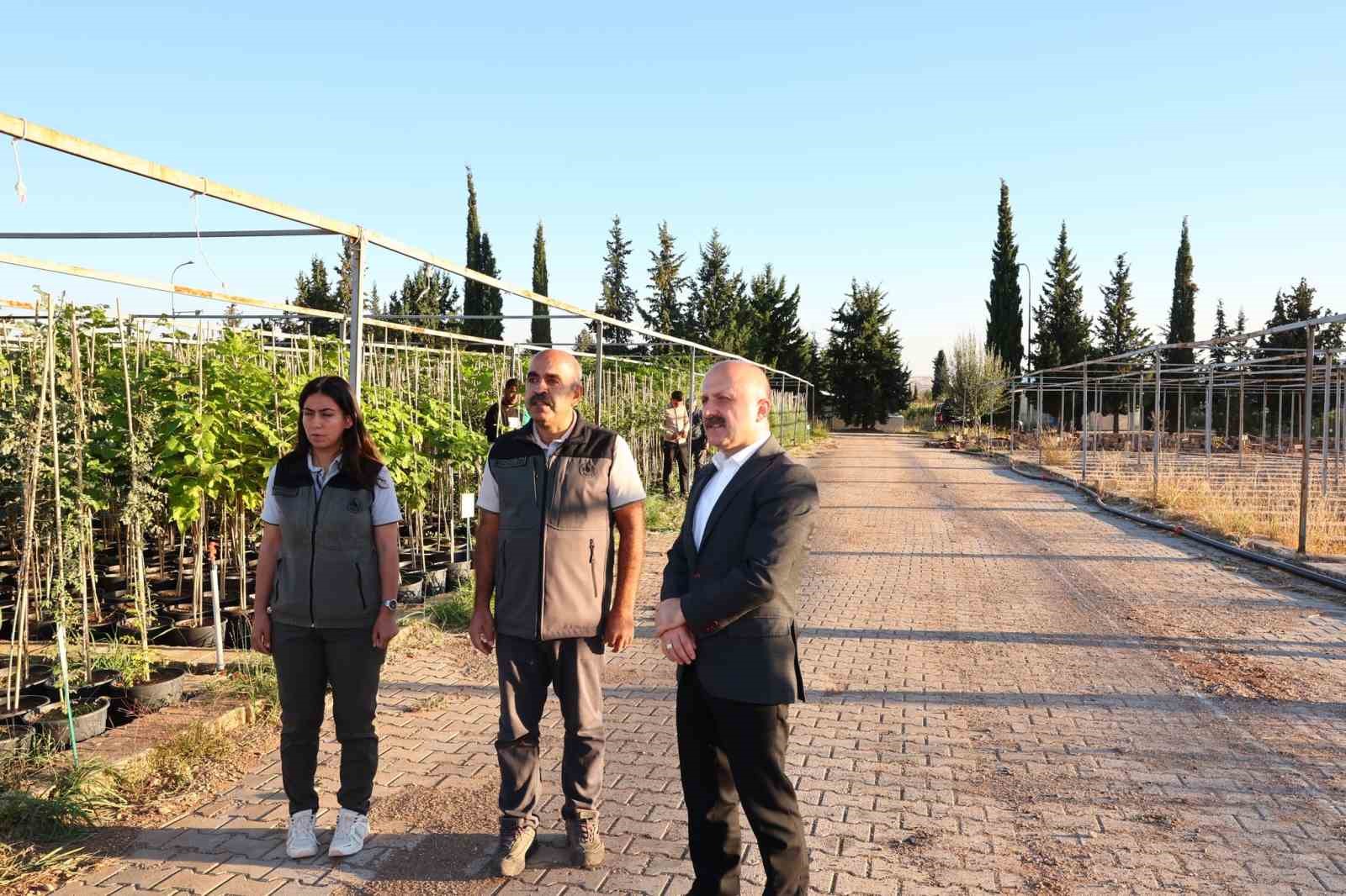 Vali Varol, orman fidanlığında incelemelerde bulundu
