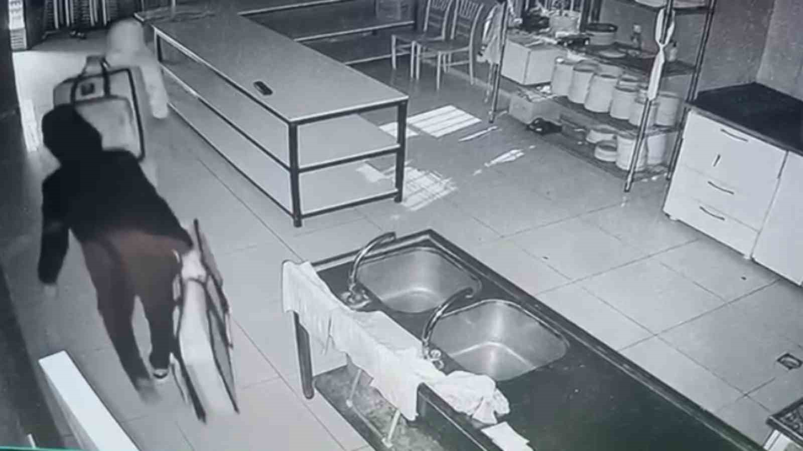 Siirt’te düğün salonundan 220 bin liralık müzik ekipmanı hırsızlığına 2 tutuklama