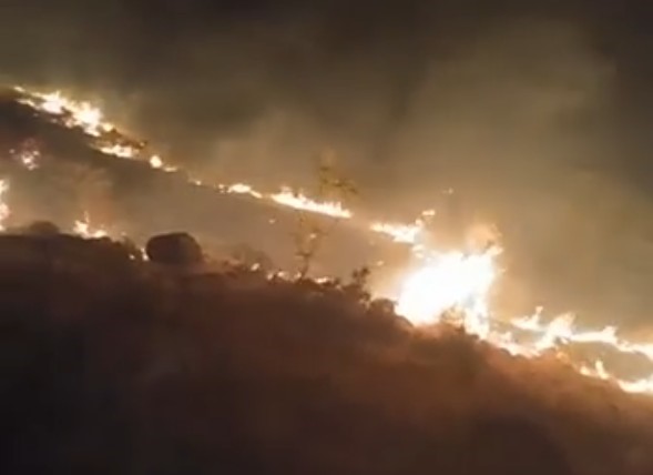 Emirgazi’de mera yangını