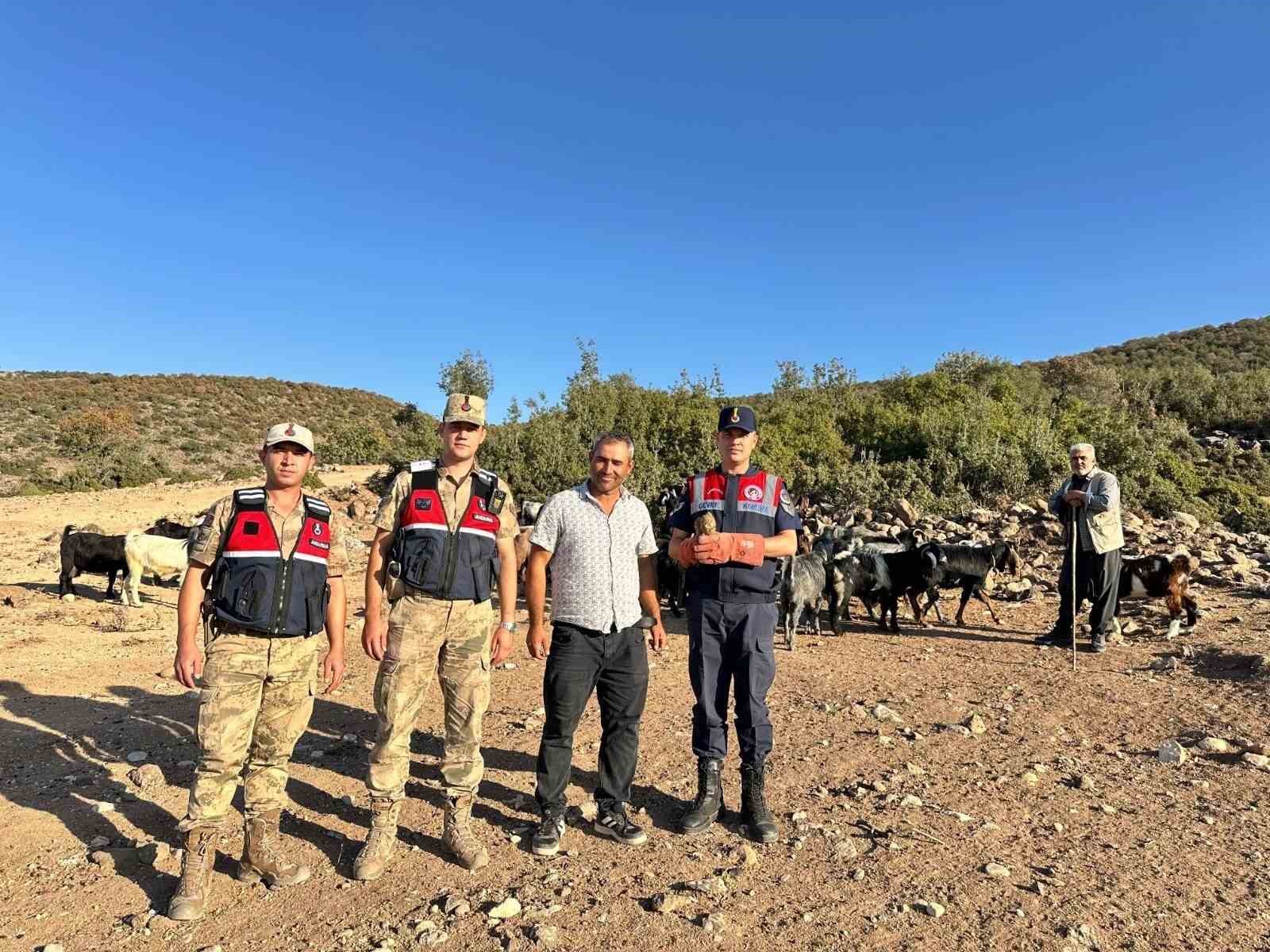 Kilis’te yaralı halde bulunan kerkenez kuşu koruma altına alındı