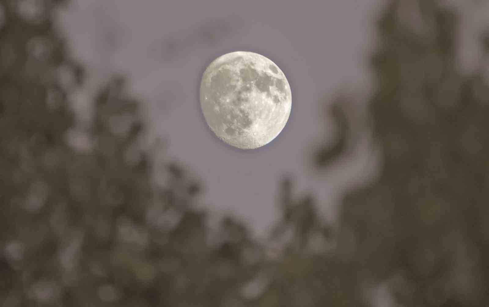 Bitlis’te yıldız şöleni