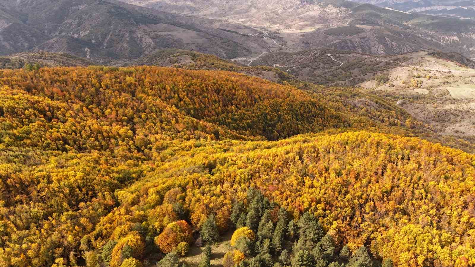 Karab&uuml;k ormanlarındaki sonbahar renkleri mest ediyor
