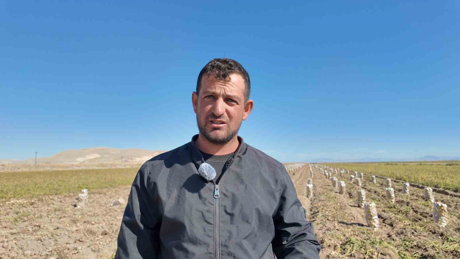 Erciş&rsquo;te patates hasadı başladı
