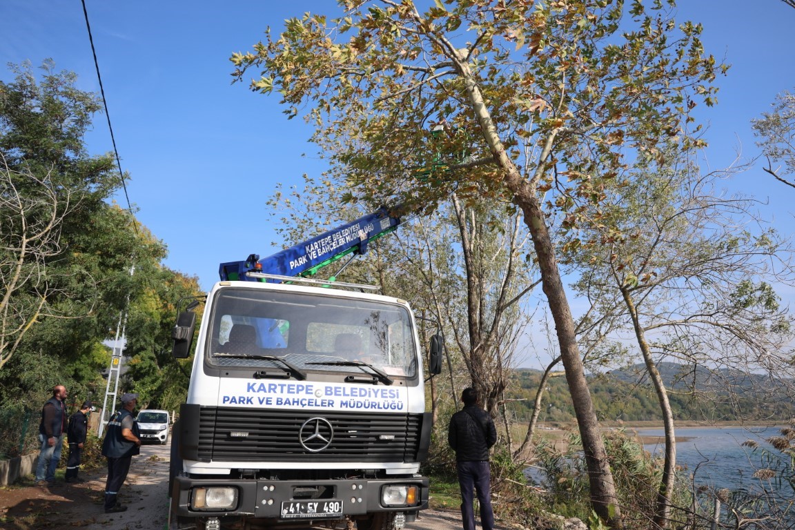 Kartepe’de yeşil alanlara bakım yapılıyor